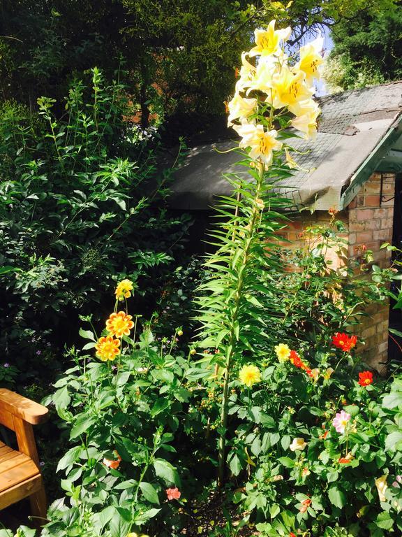 Fairlight Lodge King's Lynn Luaran gambar